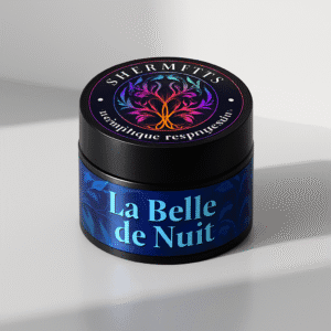 La Belle de Nuit